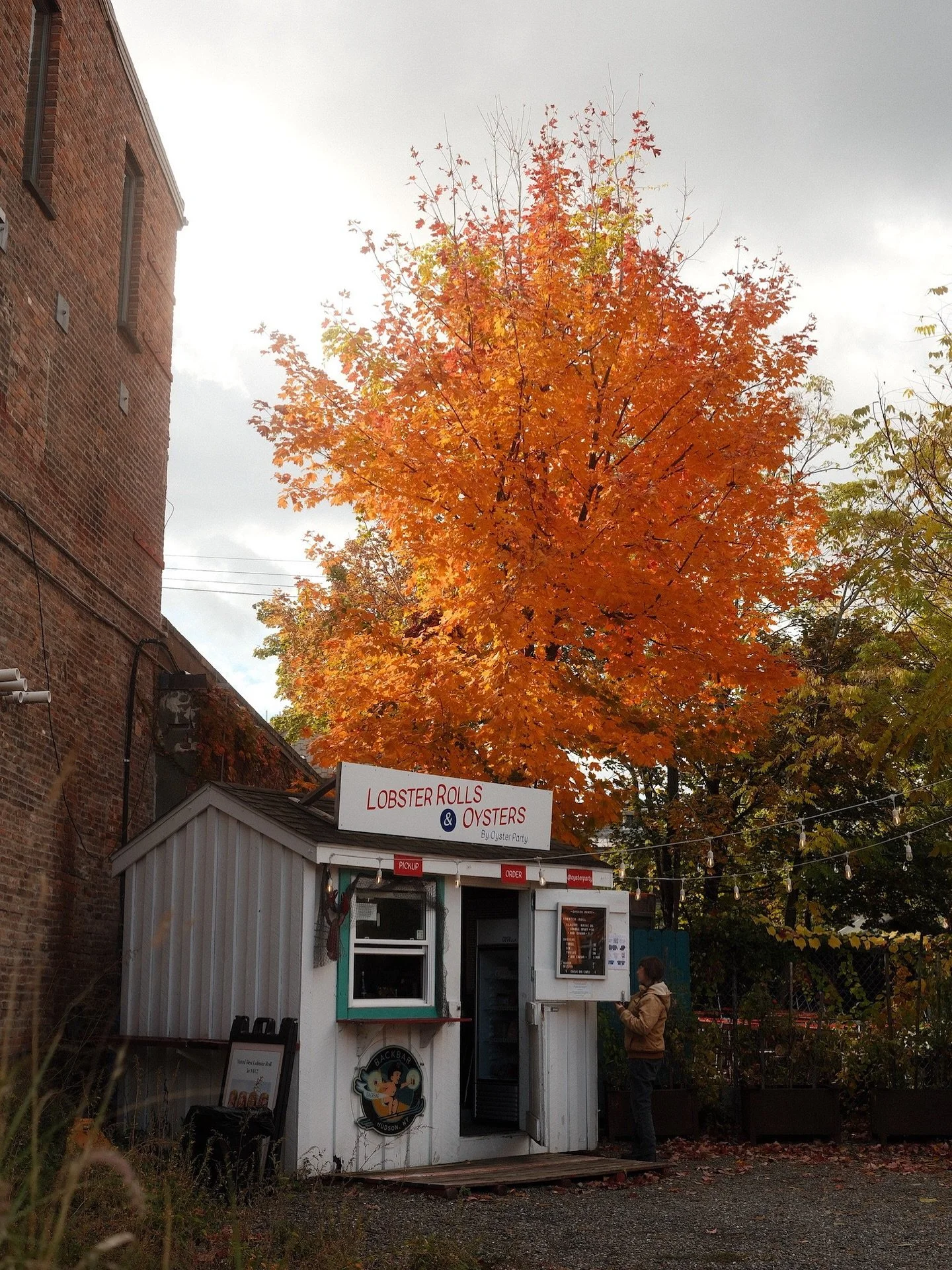 Our season at Backbar Hudson has come to an end. 🥹 Thank you to everyone who came by the shack to enjoy our food and vibes, see you next year! 🥂 
📸: @ellieonorato 
 #hudsonvalley #oysterbar #lobsterroll #nyc