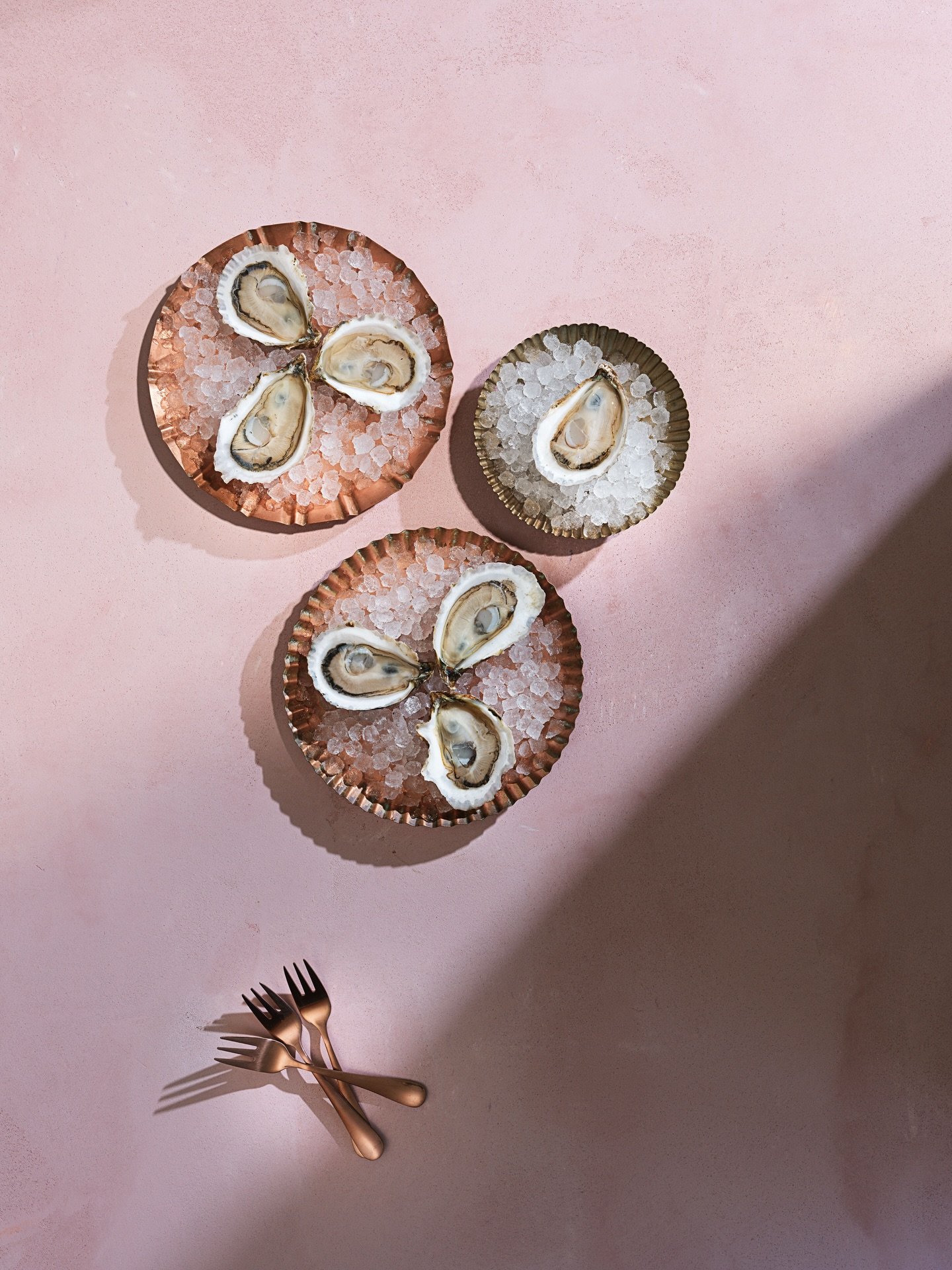 The beauty of oysters is their simplicity and how they can easily elevate any occasion. 🦪✨
Visit the link in our bio to inquire about our catering services 
#catering #eventplanner