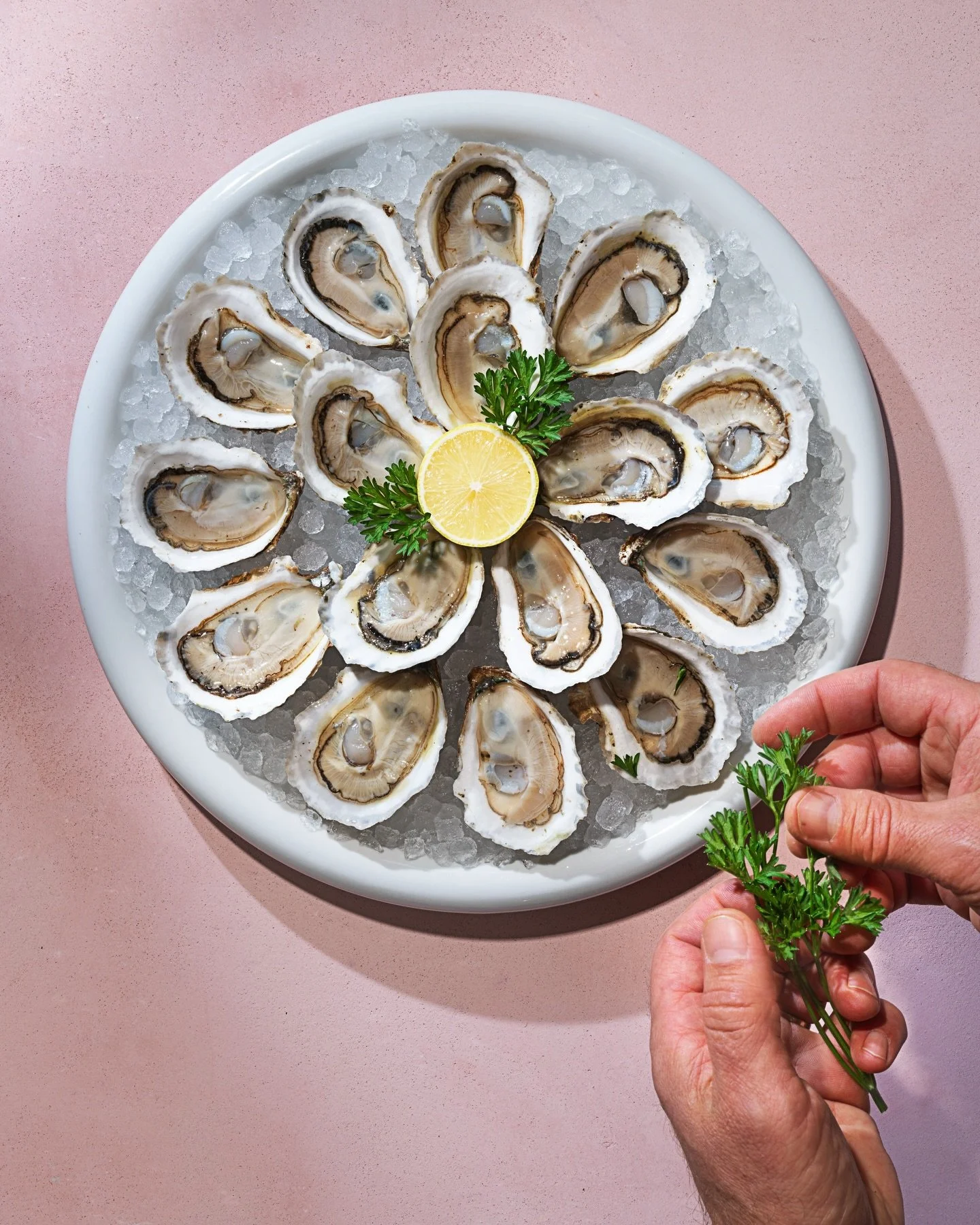✨ Memorable moments deserve memorable oyster displays. 🦪 Let us curate your next raw bar experience. More details in our link in bio. #catering #eventplanner