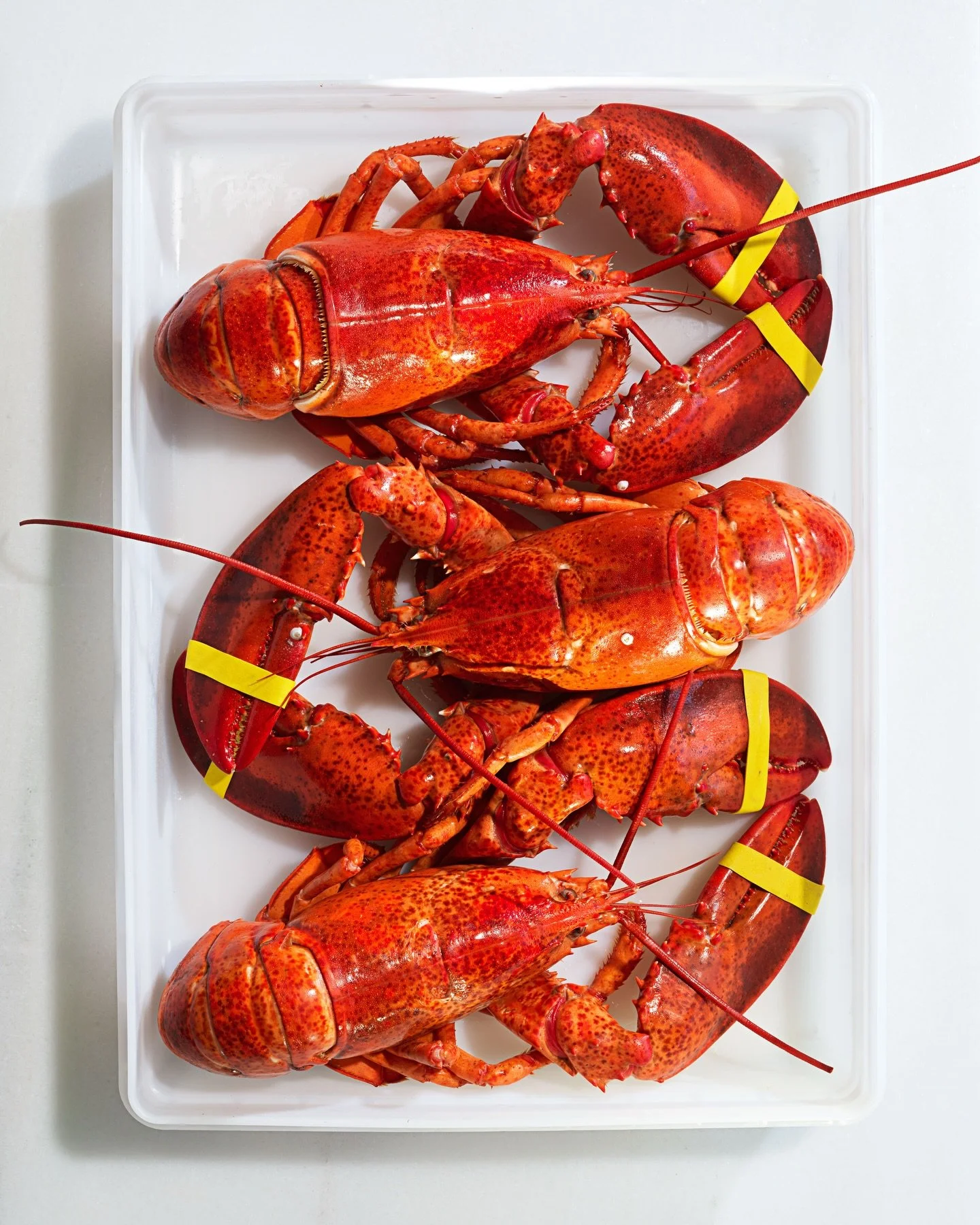 ✨ The taste of summer&hellip; Even when it isn&rsquo;t! 😎 

#lobster #catering #eventplanner