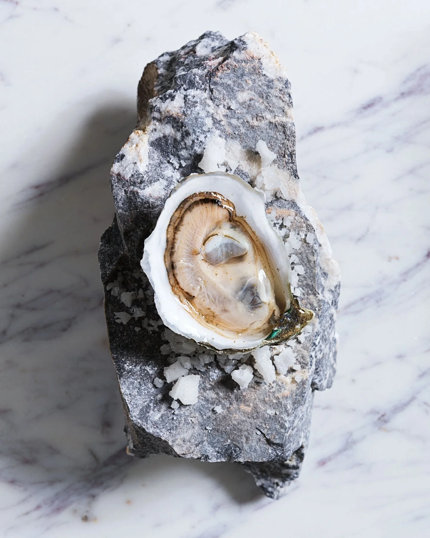 🚨 Oyster Fact: Did you know oysters filter up to 50 gallons of water a day? They are known as the ocean&rsquo;s natural water filter. 🦪🌊
#sustainability #aquaculture