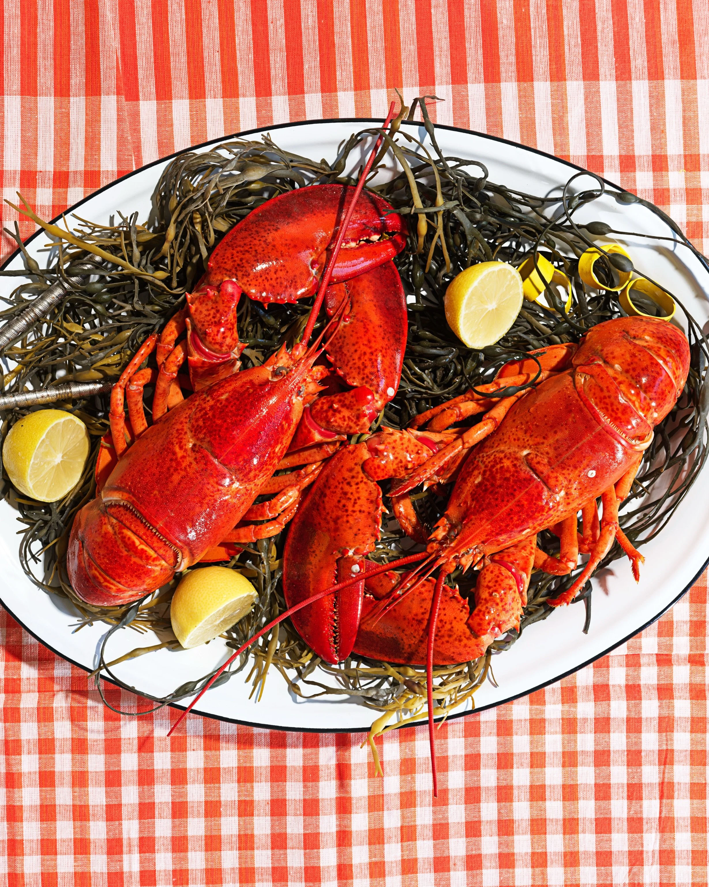 ☀️ You know Summer is almost here when lobsters start to join party spreads. 🦞