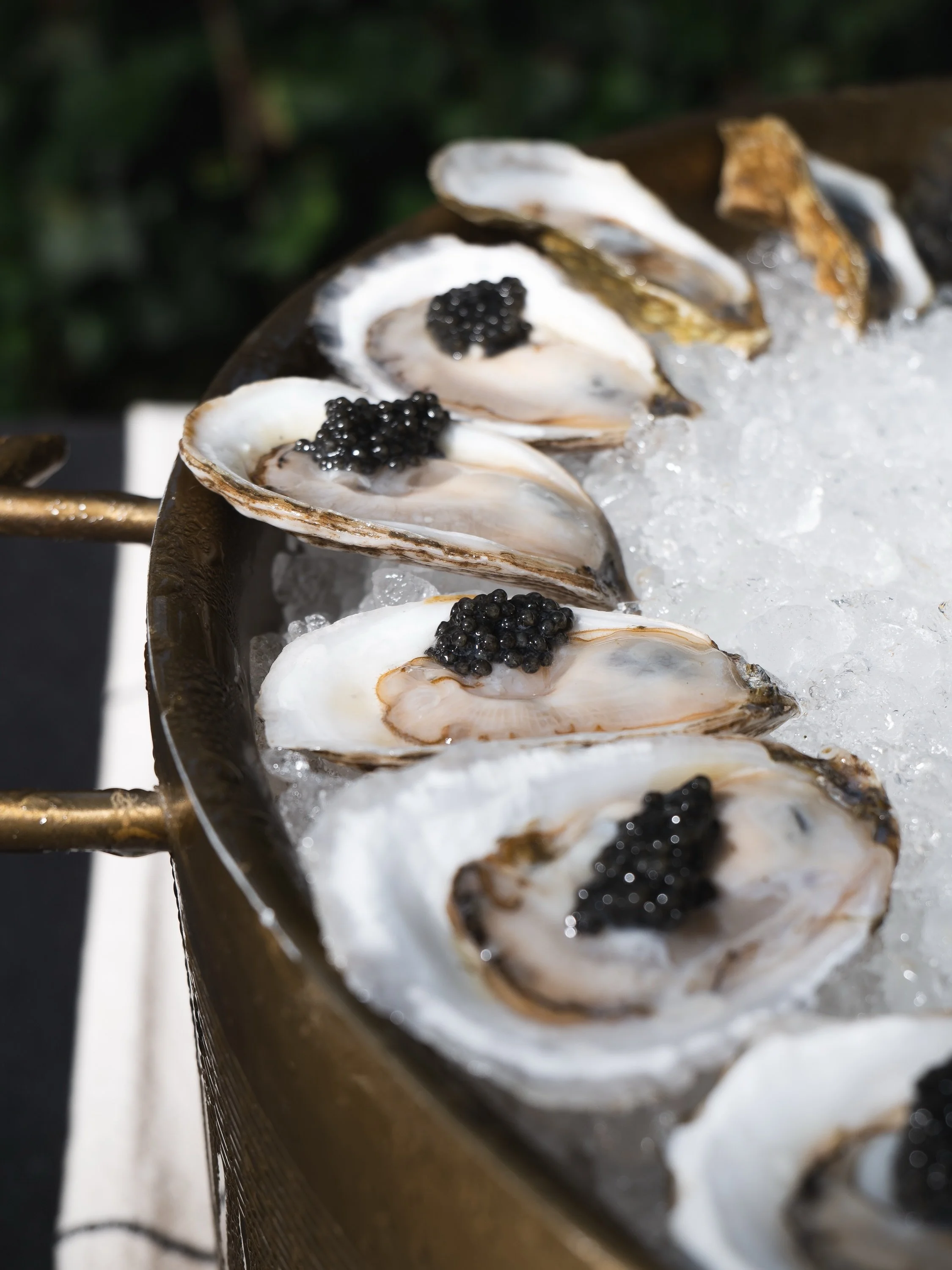 ✨ Nothing elevates an occasion like caviar. The buttery richness and delicate pop of flavor complement oysters perfectly. 🦪 #catering #rawbar