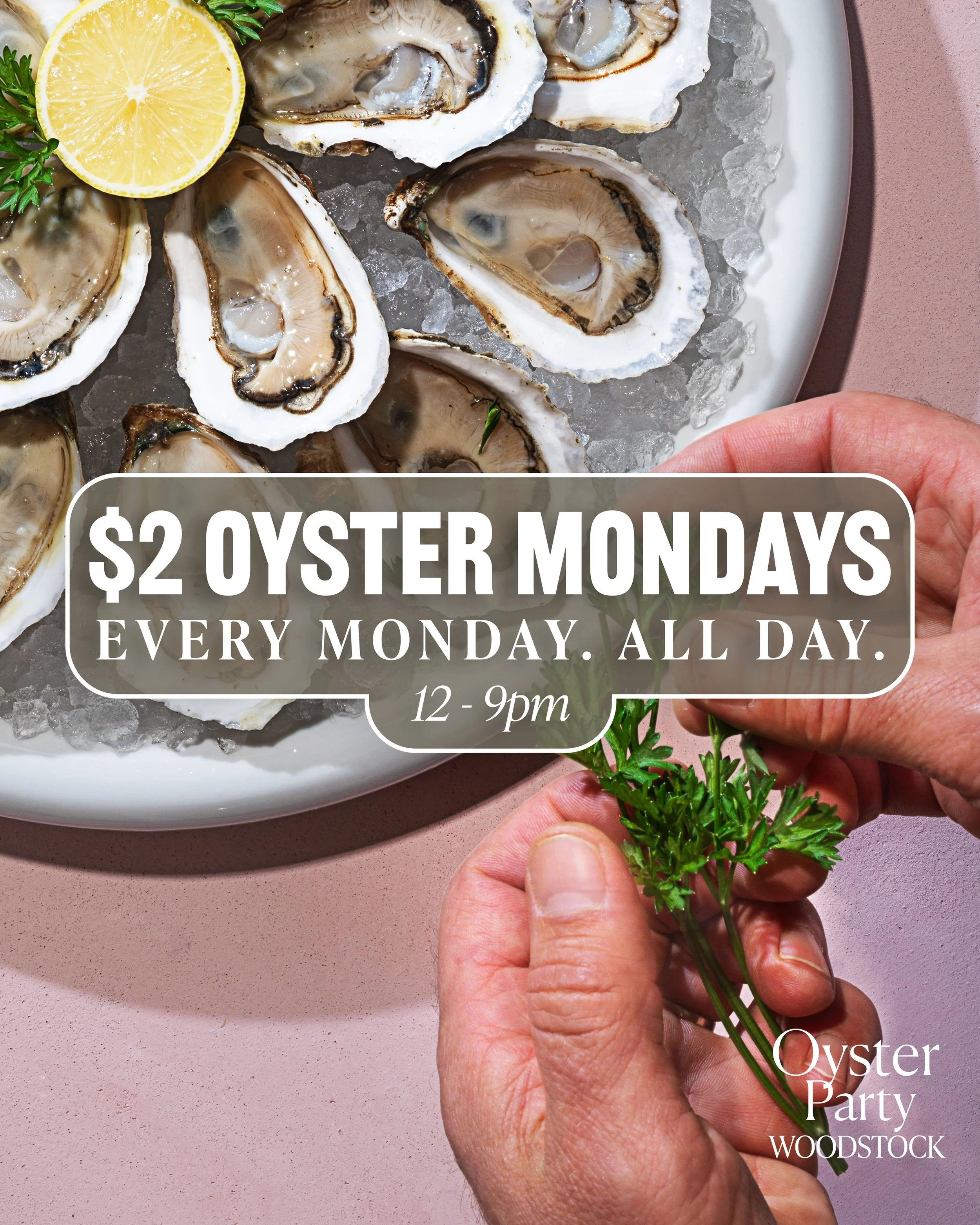 🤩 Your week just suddenly got much better. $2 oysters all day! 🦪✨

📍1802B NY-28
Woodstock, NY 12498