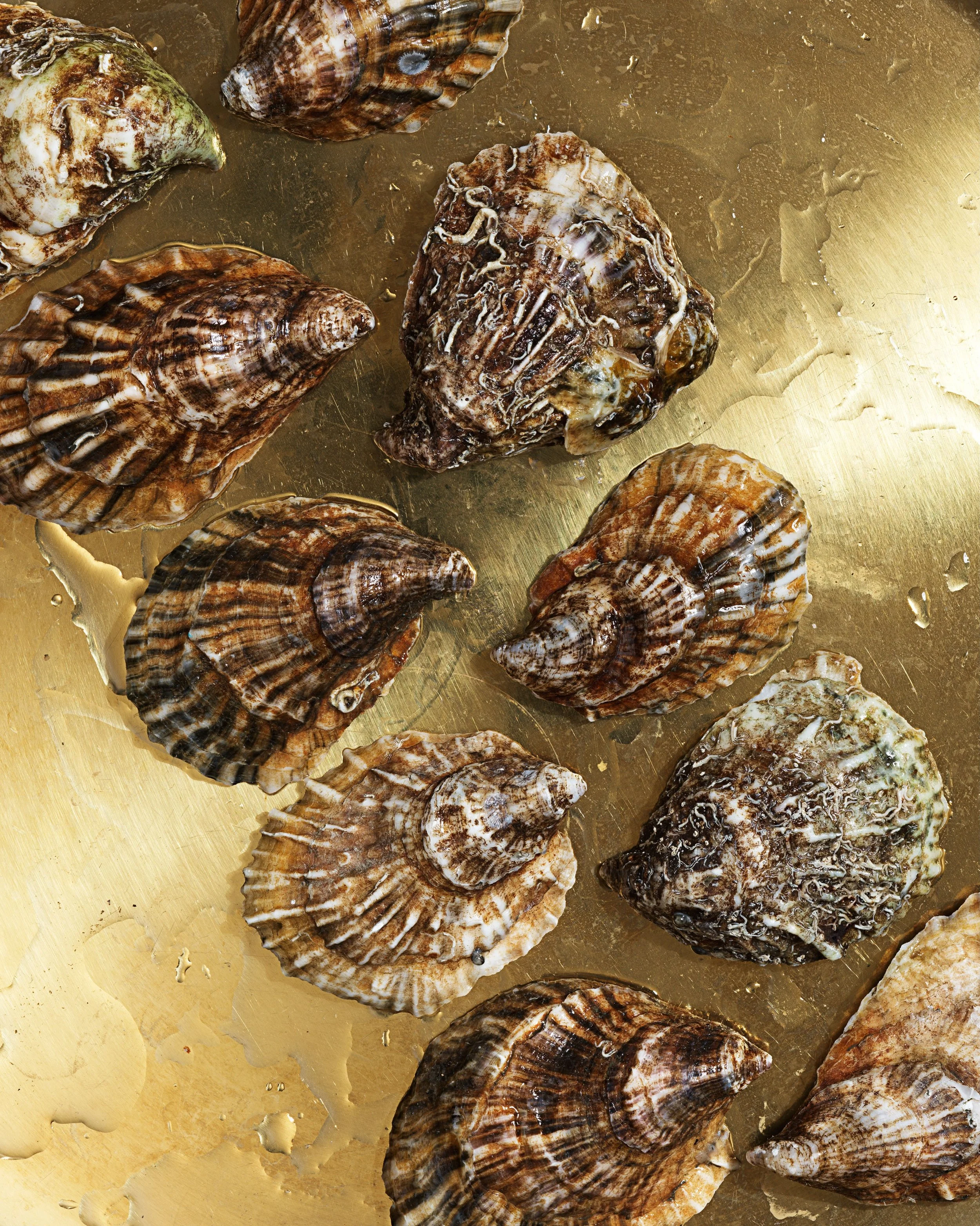 Curated raw bars filled with impeccably shucked oyster that turn every gathering into a special event. 🦪✨ Link in bio for more info!