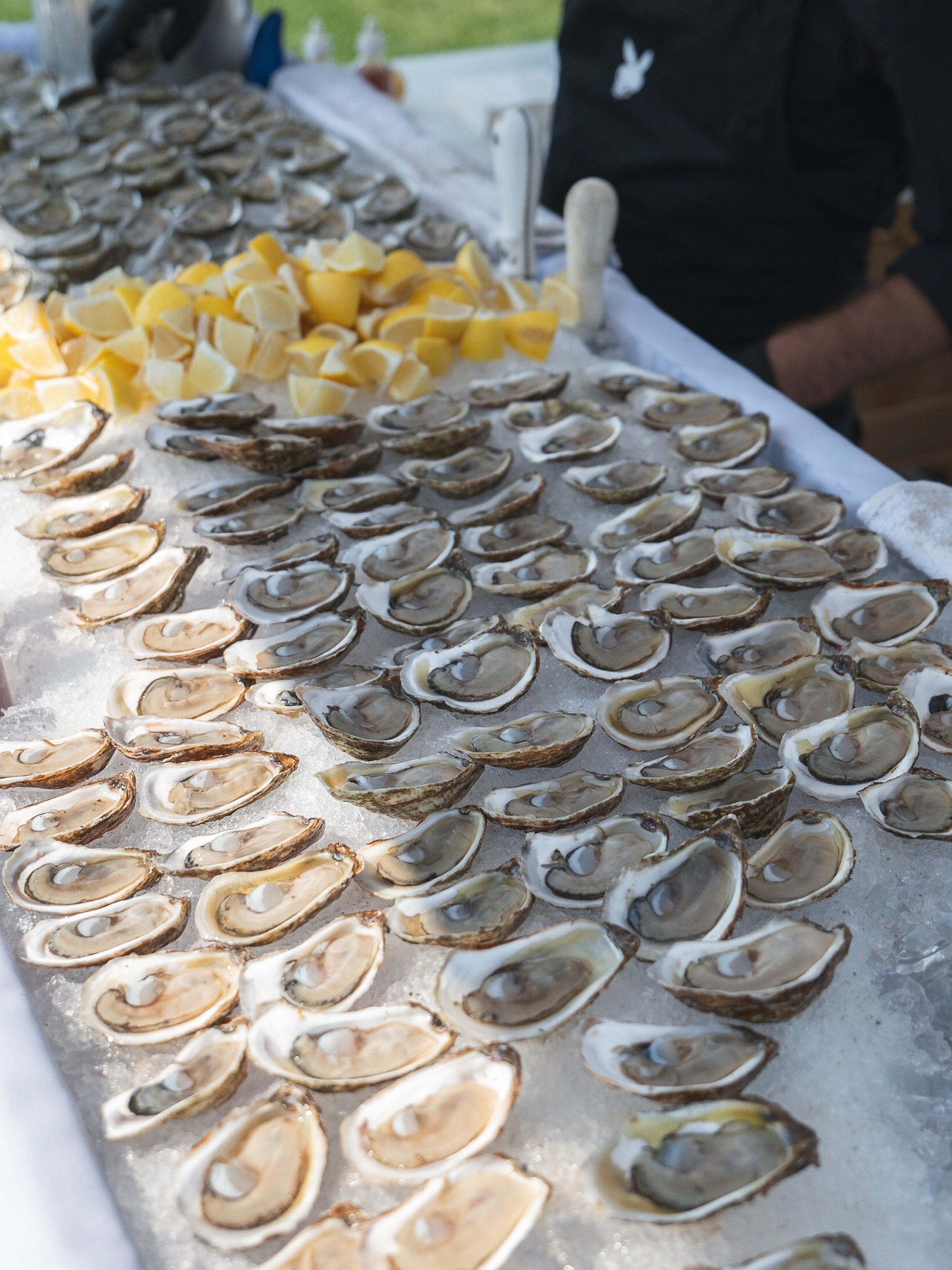 ✨ Champagne on ice, oysters on the half shell, and nowhere else to be. 🦪🥂