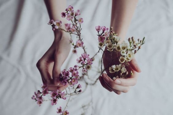 Deux mains tenant un bouquet de petites fleurs roses et blanches, avec un vêtement blanc en arrière-plan.