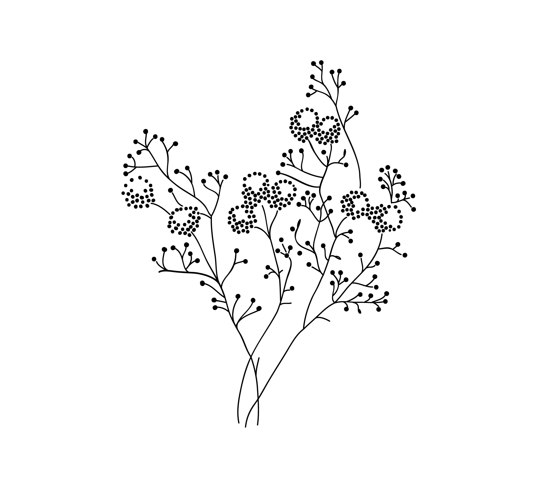 Morgane Green photographe