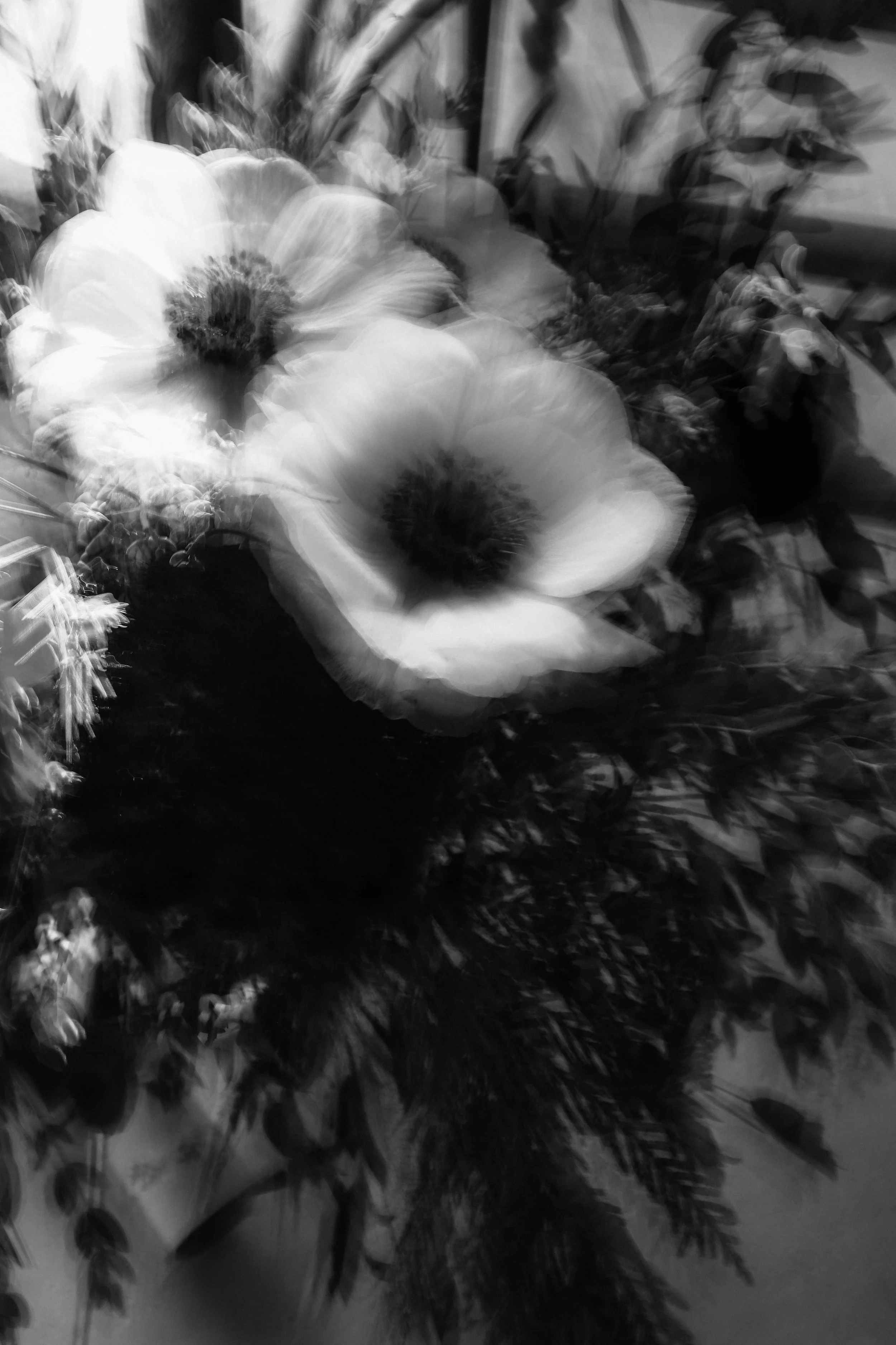 Fleurs en noir et blanc, possibilité de style flou ou peinture perturbée, avec des feuilles vertes sur le côté.