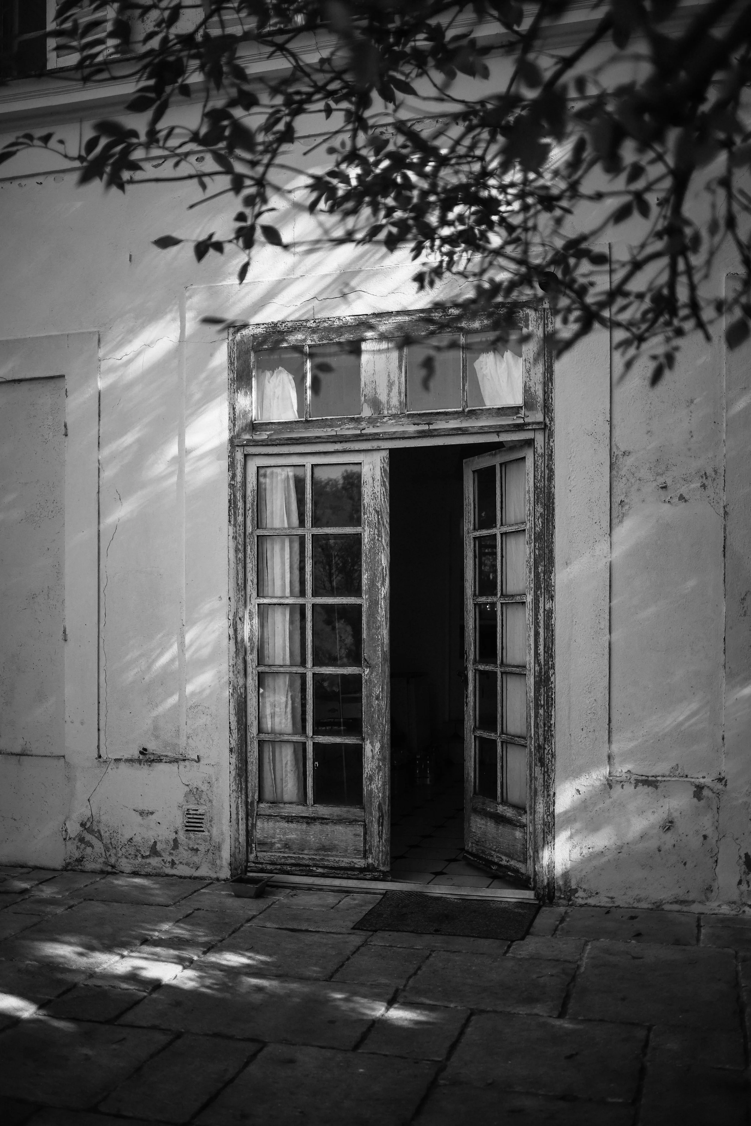 Une porte ancienne en bois avec des fenêtres en verre, ouvrant sur un intérieur sombre, encadrée par un mur en pierre, avec des reflets de lumière et des ombres sur le sol pavé et une branche d'arbre au premier plan.