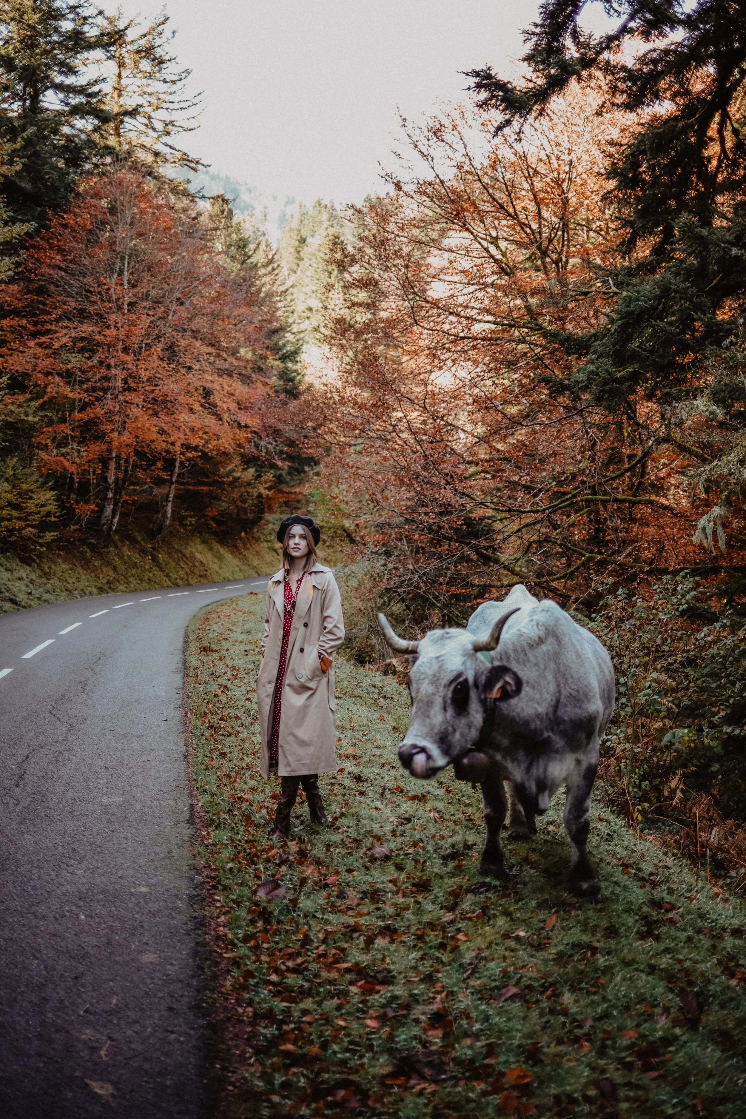 Une femme en trench beige et chapeau sombre se trouve sur le bord d'une route sinueuse entourée d'arbres aux feuilles automnales, avec une vache grise à cornes à côté d'elle.