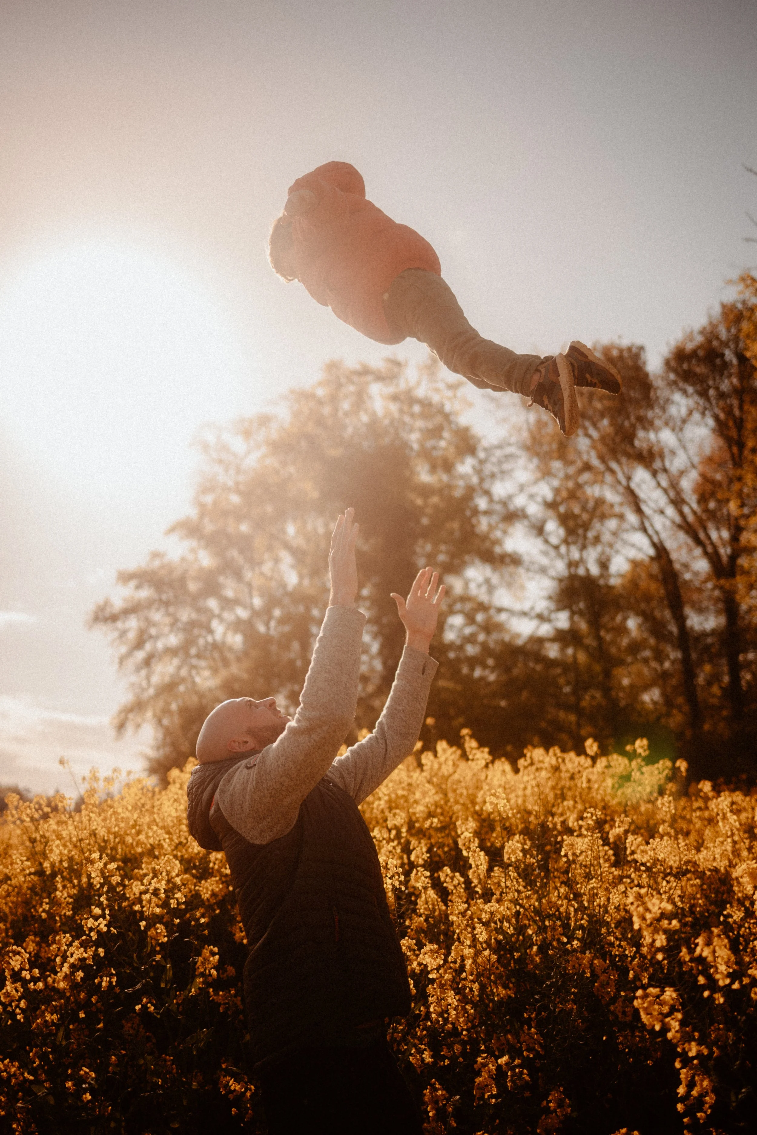 Un homme lance un enfant en l'air dans un champ de fleurs avec des arbres en arrière-plan au coucher du soleil.