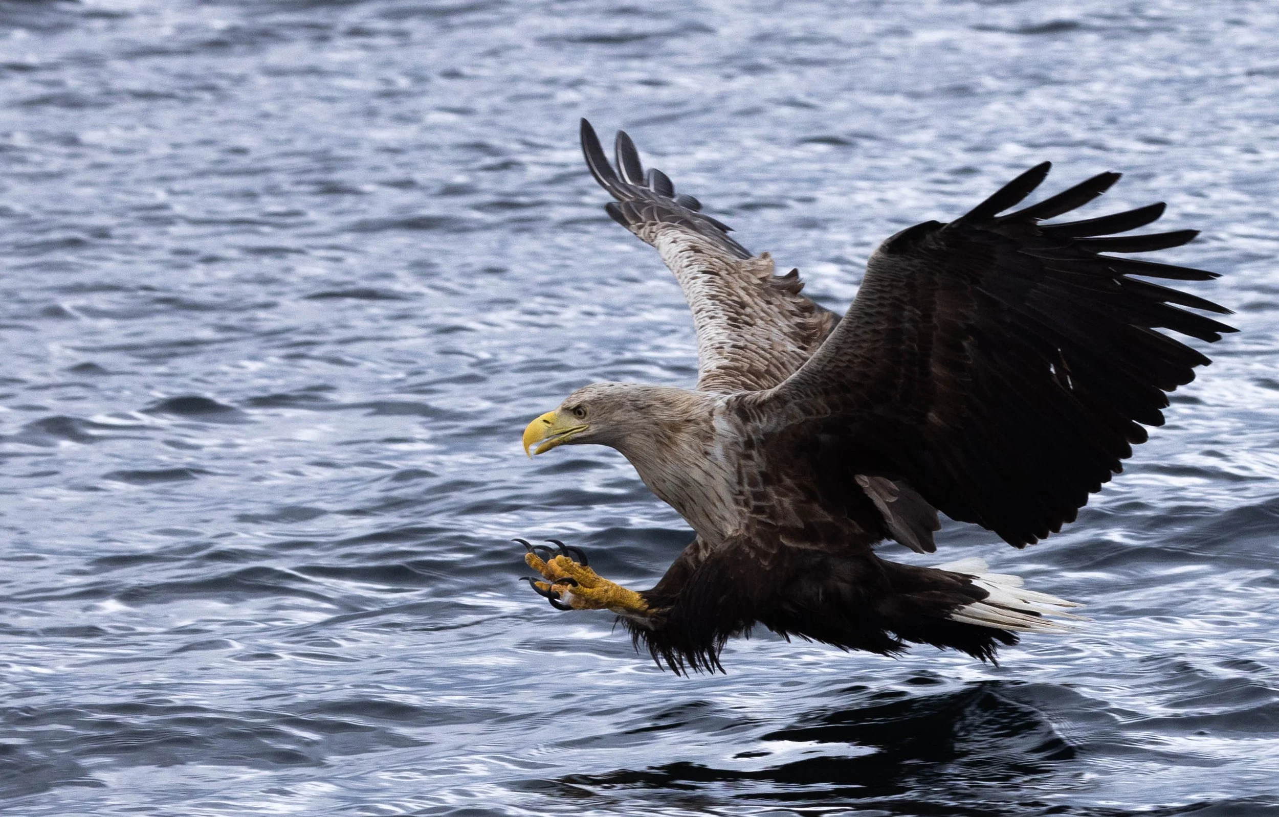 Isle of Mull Chapter Four