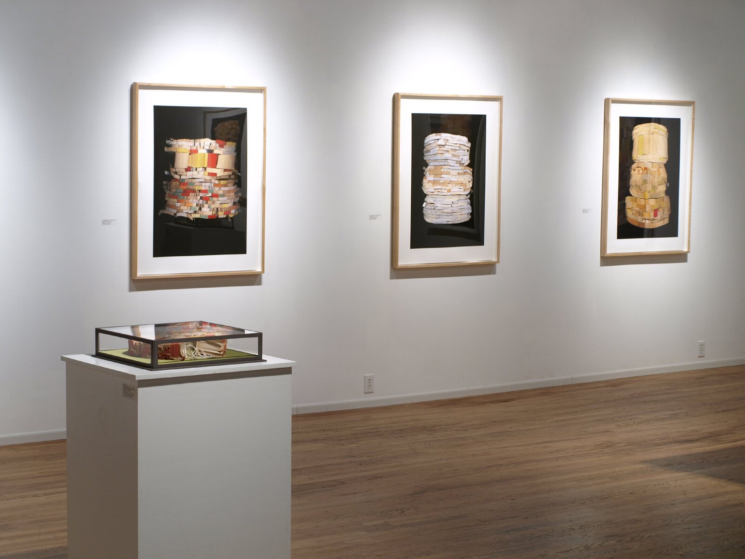 Ann Hamilton — Solway Gallery