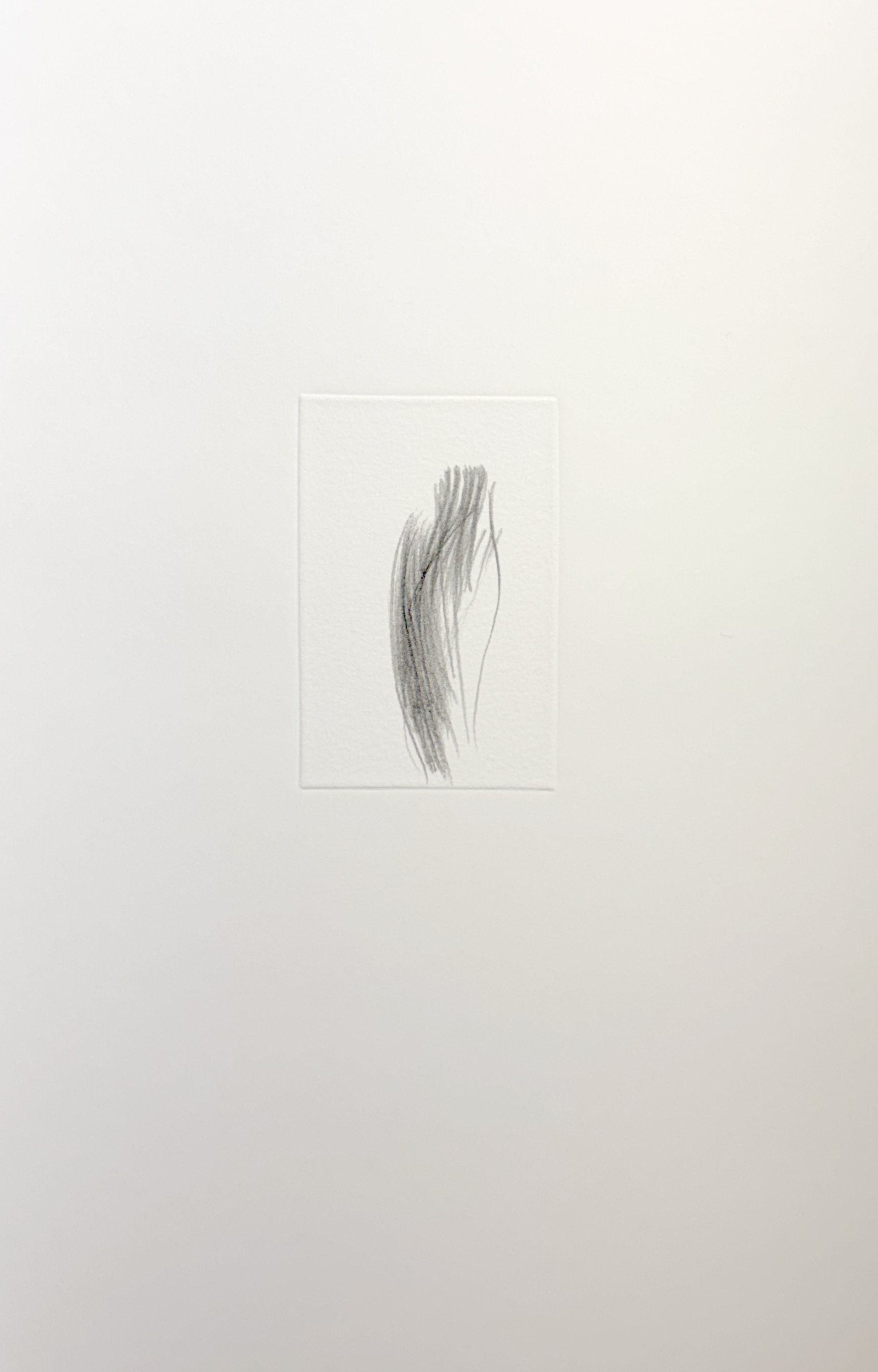 Finger Lines, 1996,
Graphite on embossed paper,
13 3/4 x 9 inches