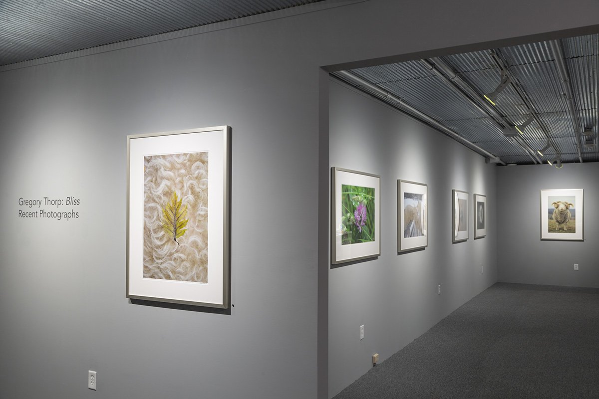 October 17 - January 30, 2026 | Gregory Thorp: BLISS, Recent Photographs