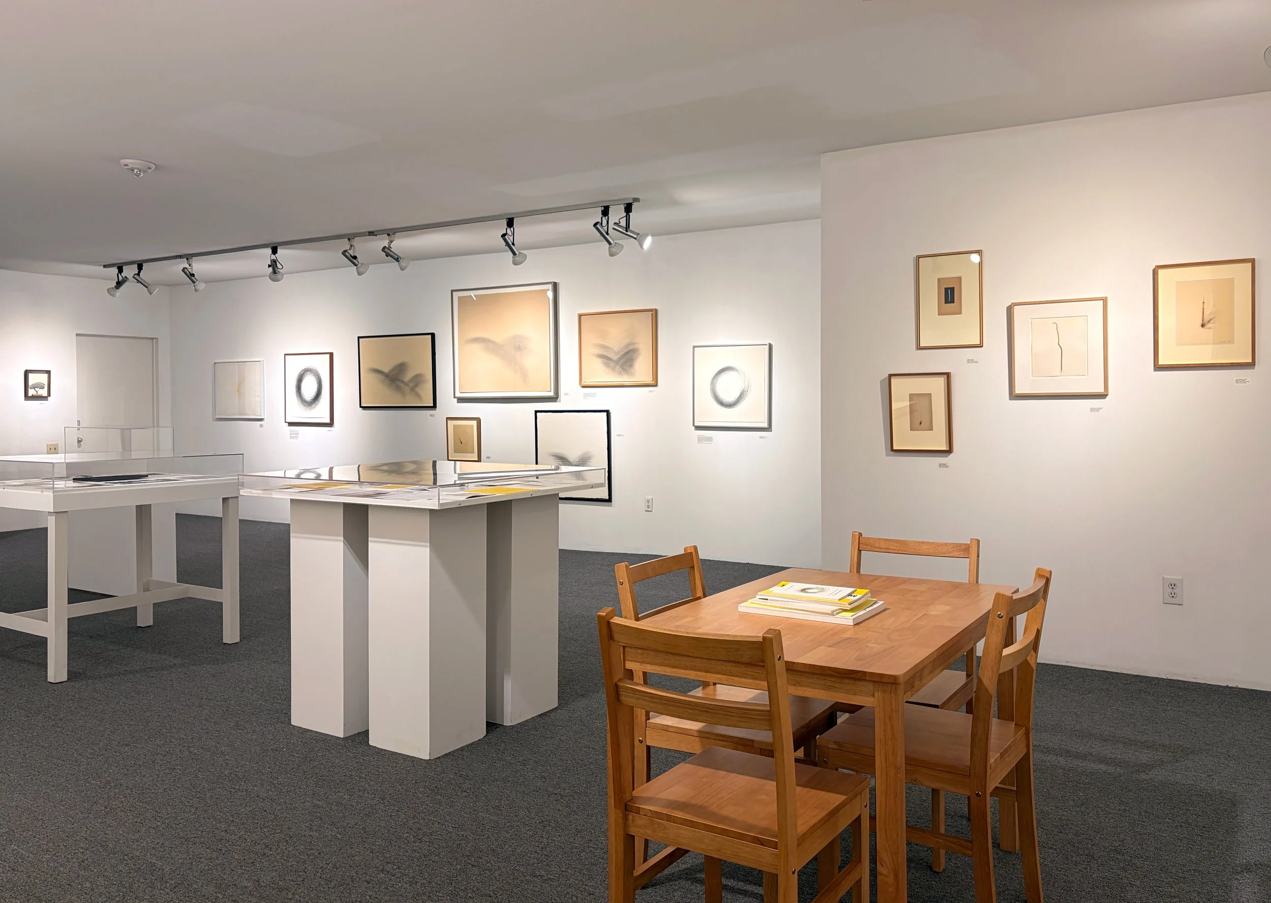 Marioni Install 03.jpg