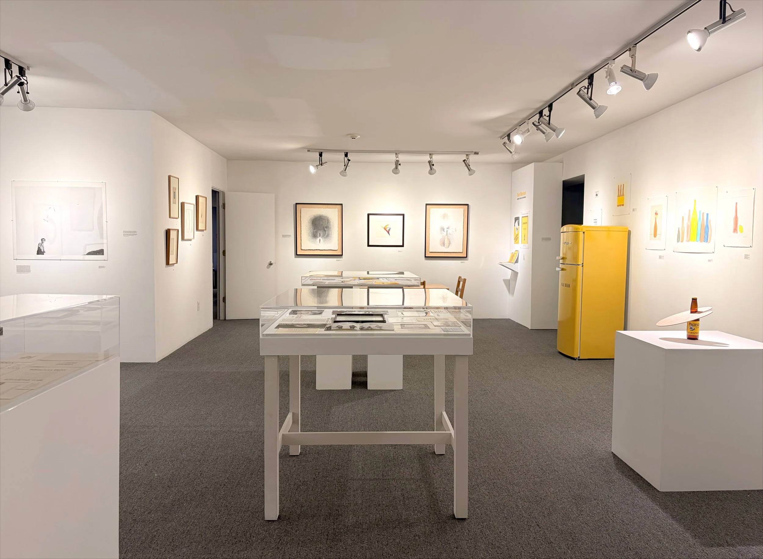 Marioni Install 07.jpg