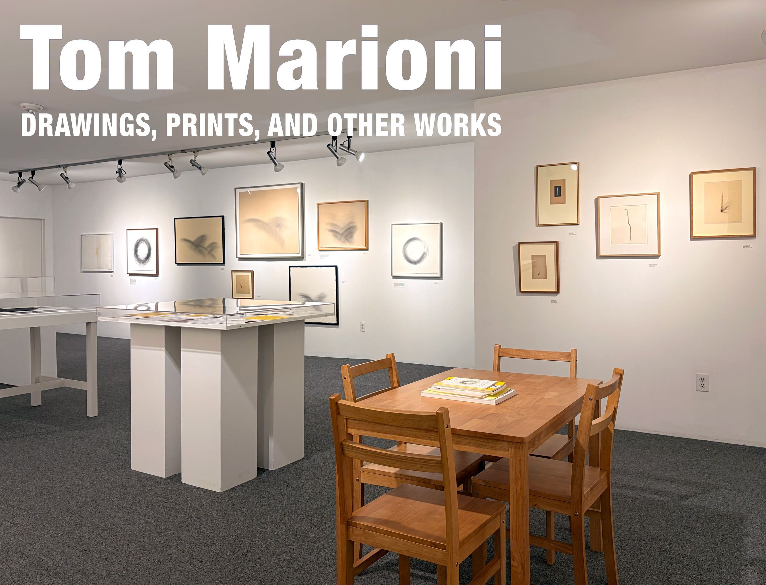 Marioni Install 03.png