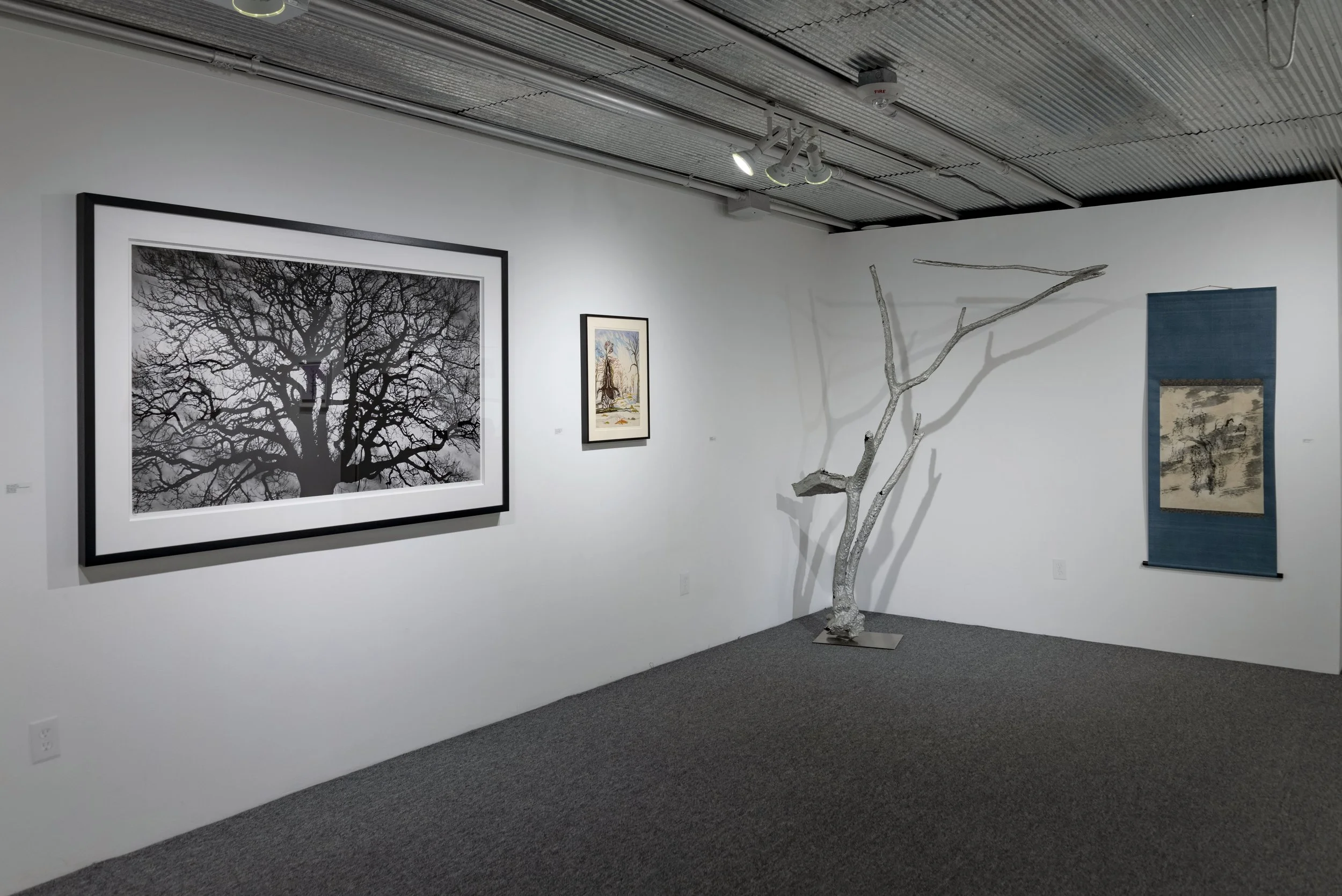 September 28 - December 15, 2023 | Tree Conscious
