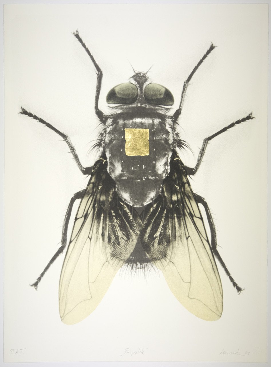 Dieter Lennartz,
Projectile, 2004,
Lithograph and 24k gold leaf,
Edition of 24,
30 x 22 inches