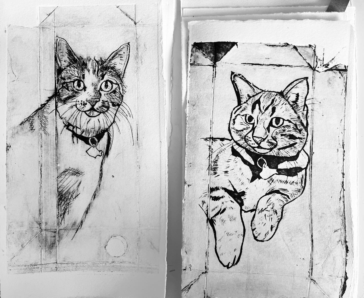 More tetra pack small batch #printmaking of the grandkittens #cats #akuainks #bkreeves #smallprintrun #sissixbigshot @kristinmacphersonstudio