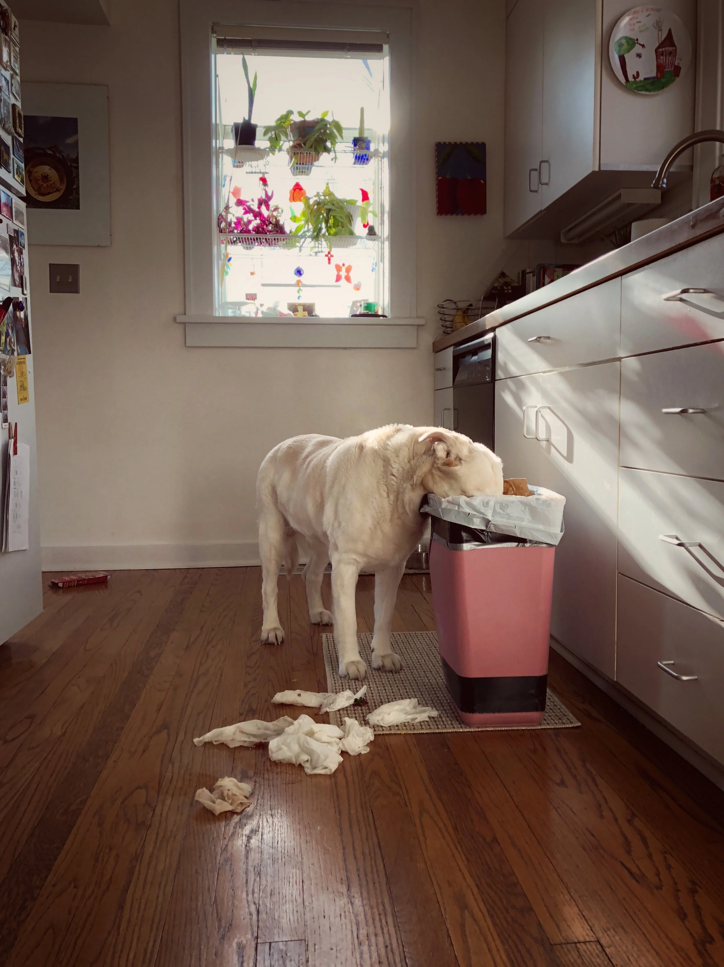 FullSizeRender 2.jpg