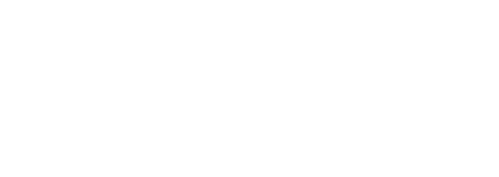 The Palm Baum