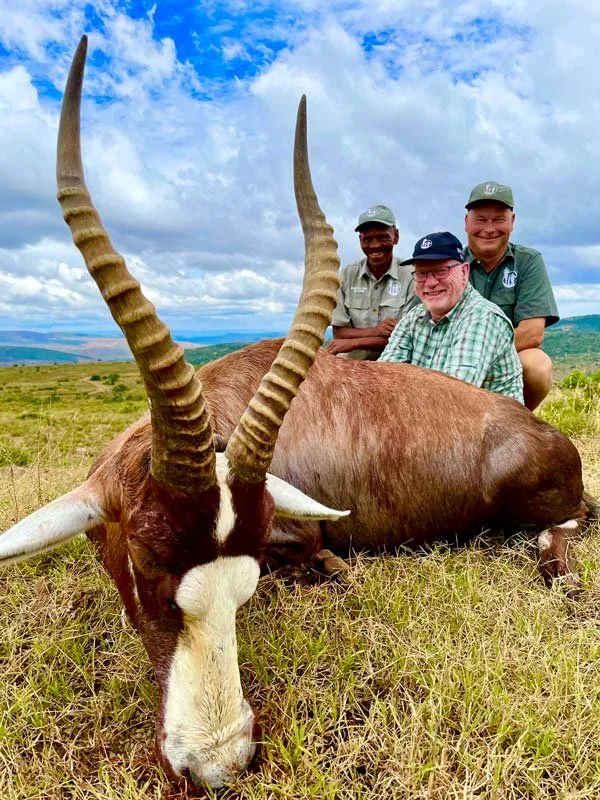 Common Blesbok