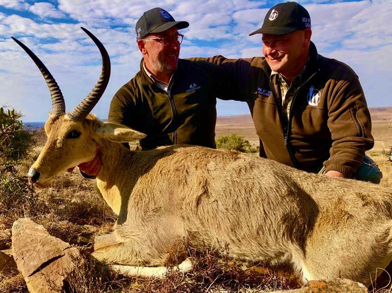 Common Reedbuck