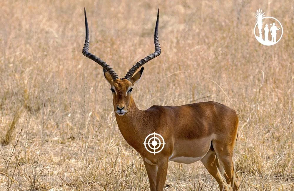 Skudplacering Impala
