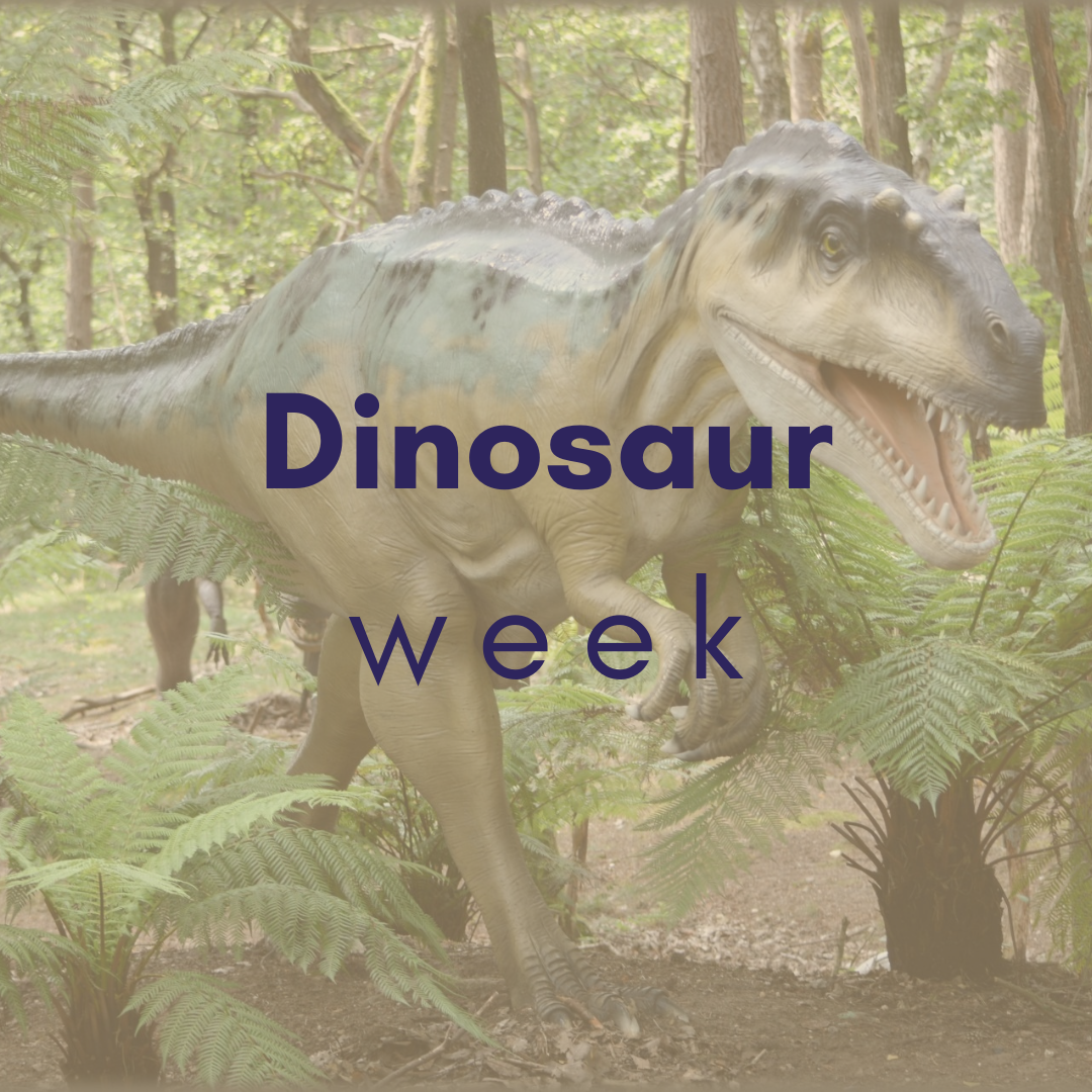 Week of July 28 - August 1