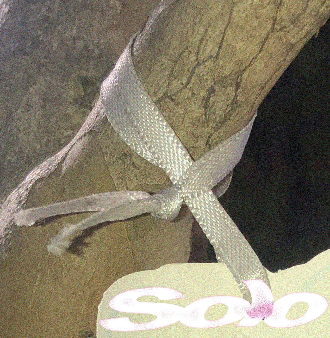 Producer, Performer–guitar, vocals