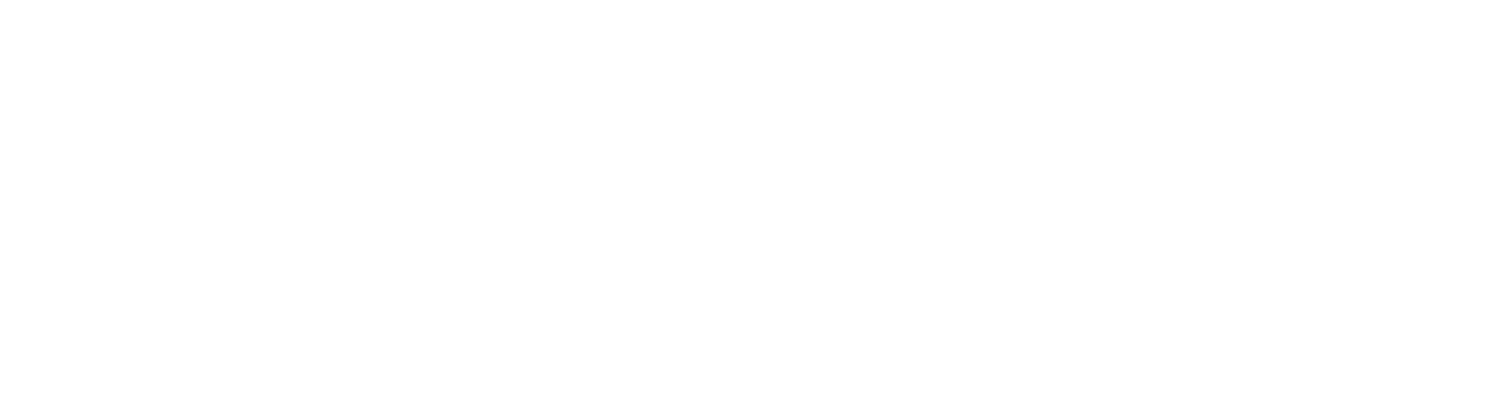 Essence of Life Therapy