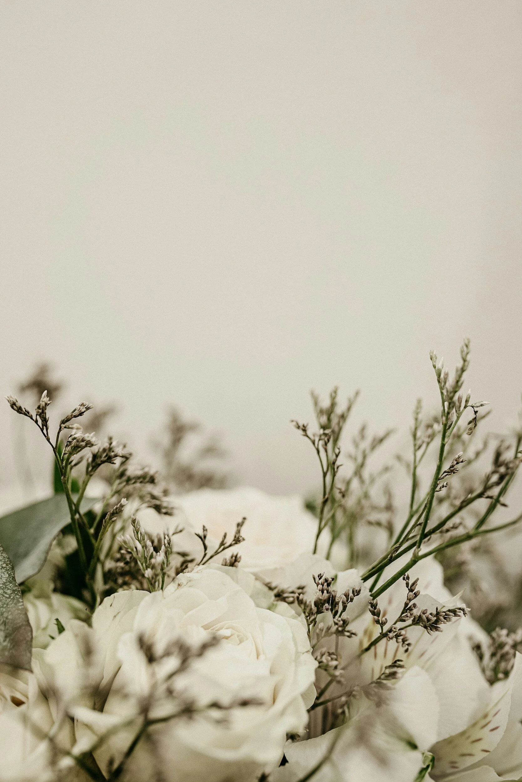 Close-up of white roses and small purple flowers on a soft, neutral background
