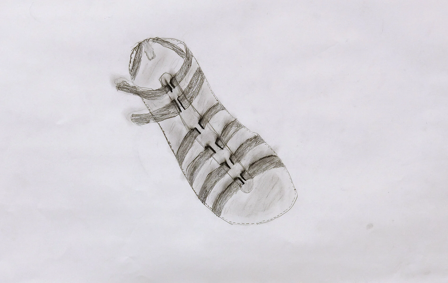 Cameron Sipp, Grade VIII