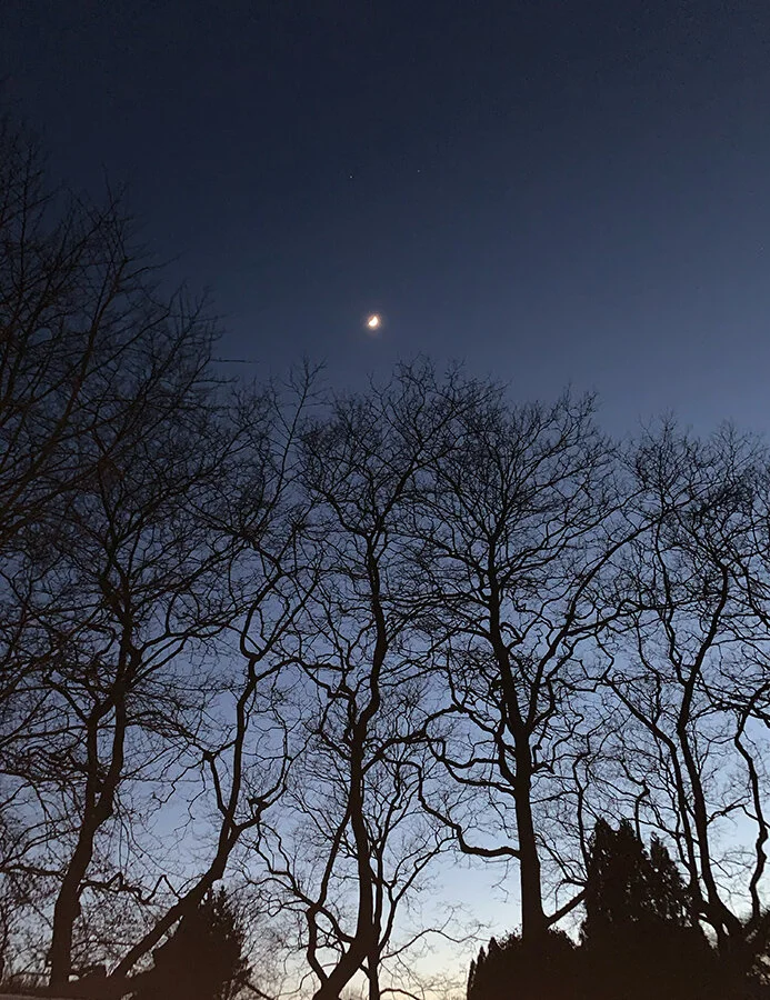 Oliver Meyer, Grade VIII