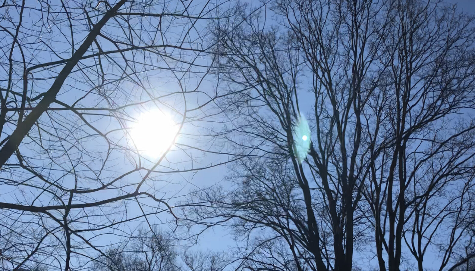 Ray Muroi, Grade VIII