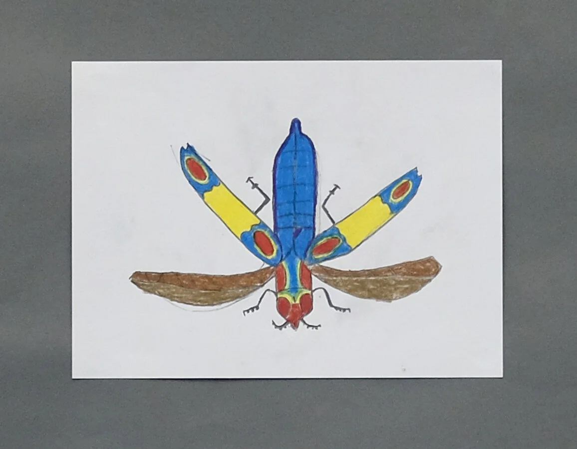 Jonathan Navarrete, Grade VII