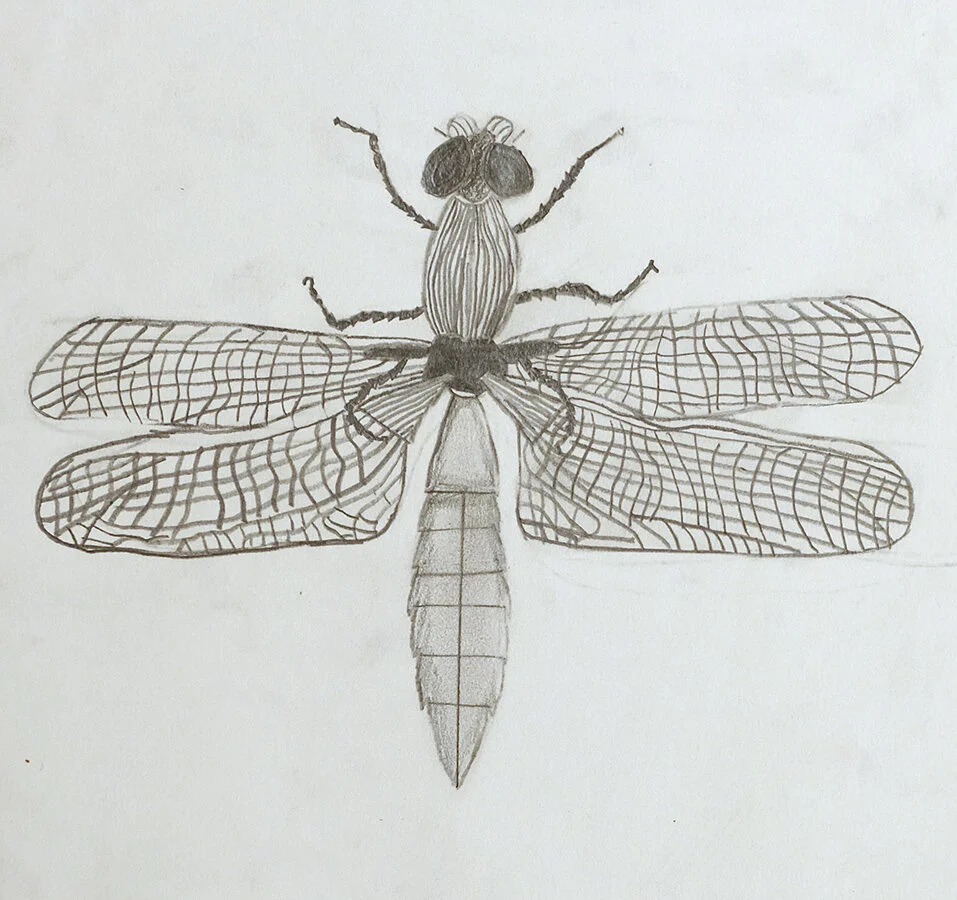 Adrien Bouvard, Grade VII