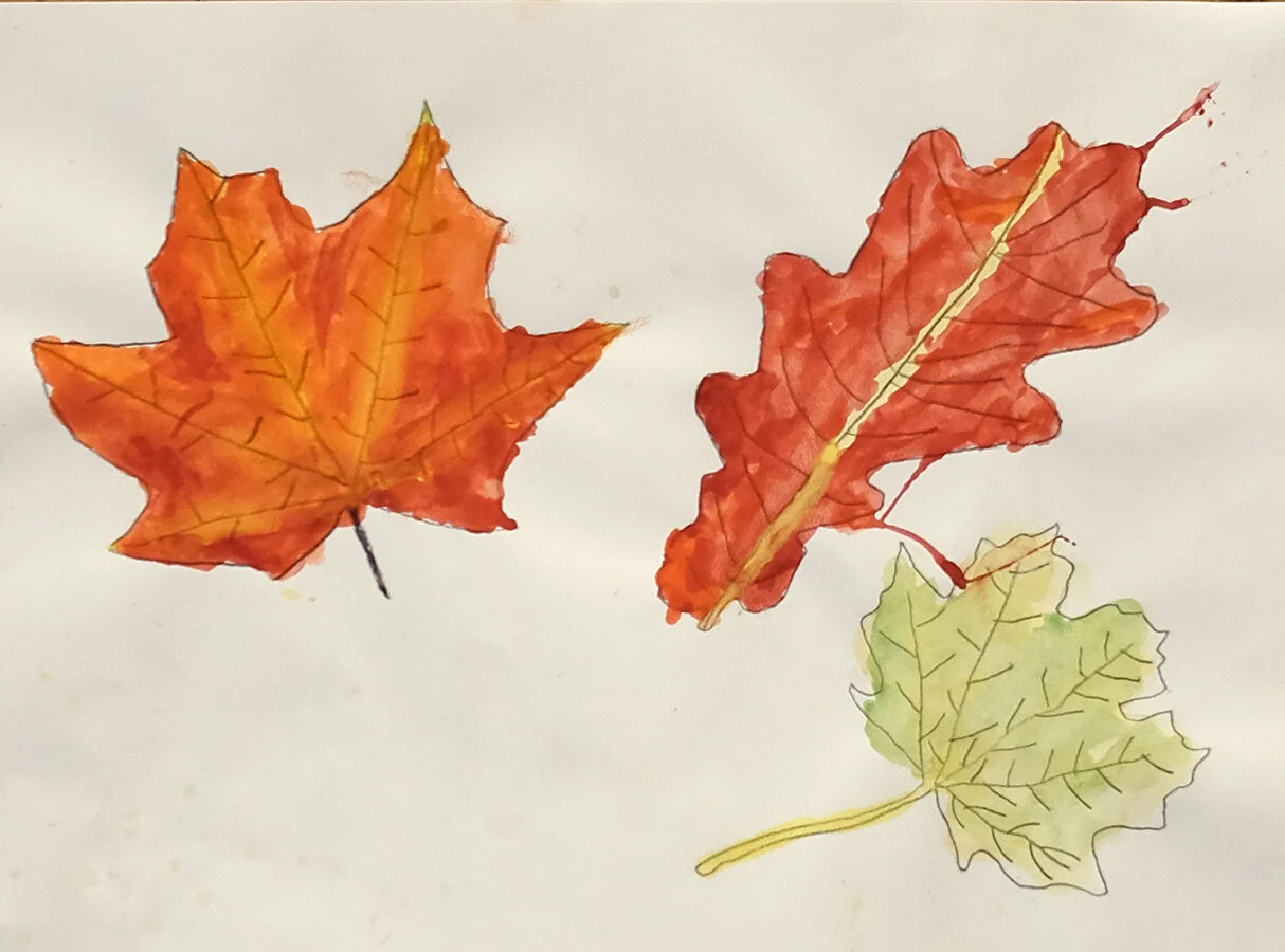 Constantine Svoronos, Grade VII