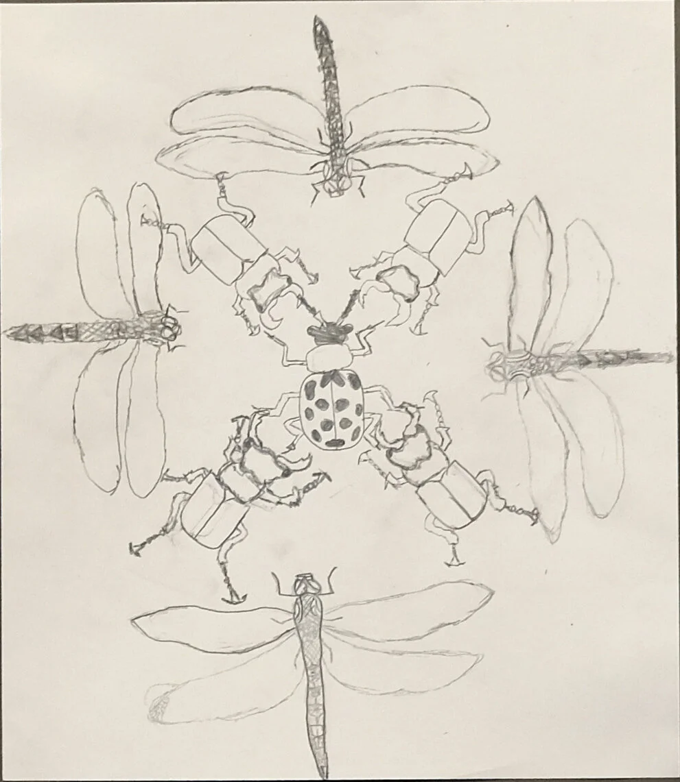 Nate Nuttall, Grade VII