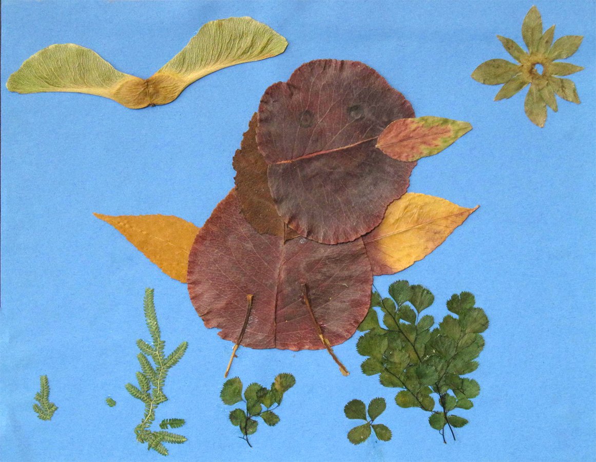 Jasper Lu,  Grade III