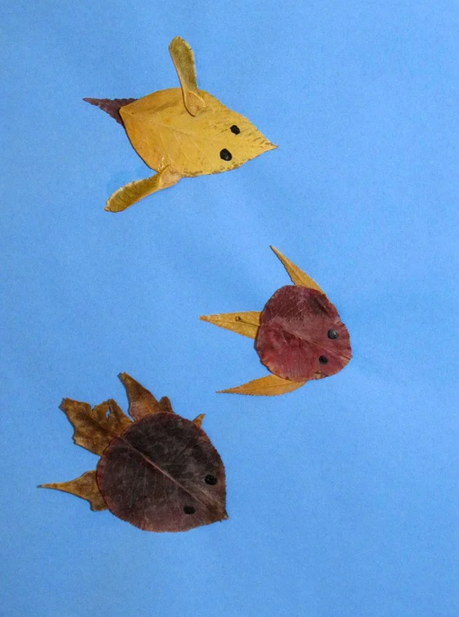 Barnaby Duncan, Grade III