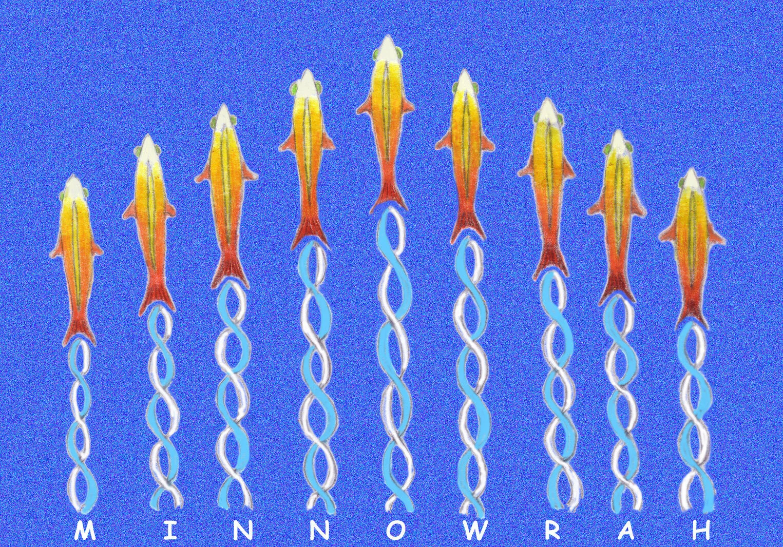 minnowrah_200.jpg