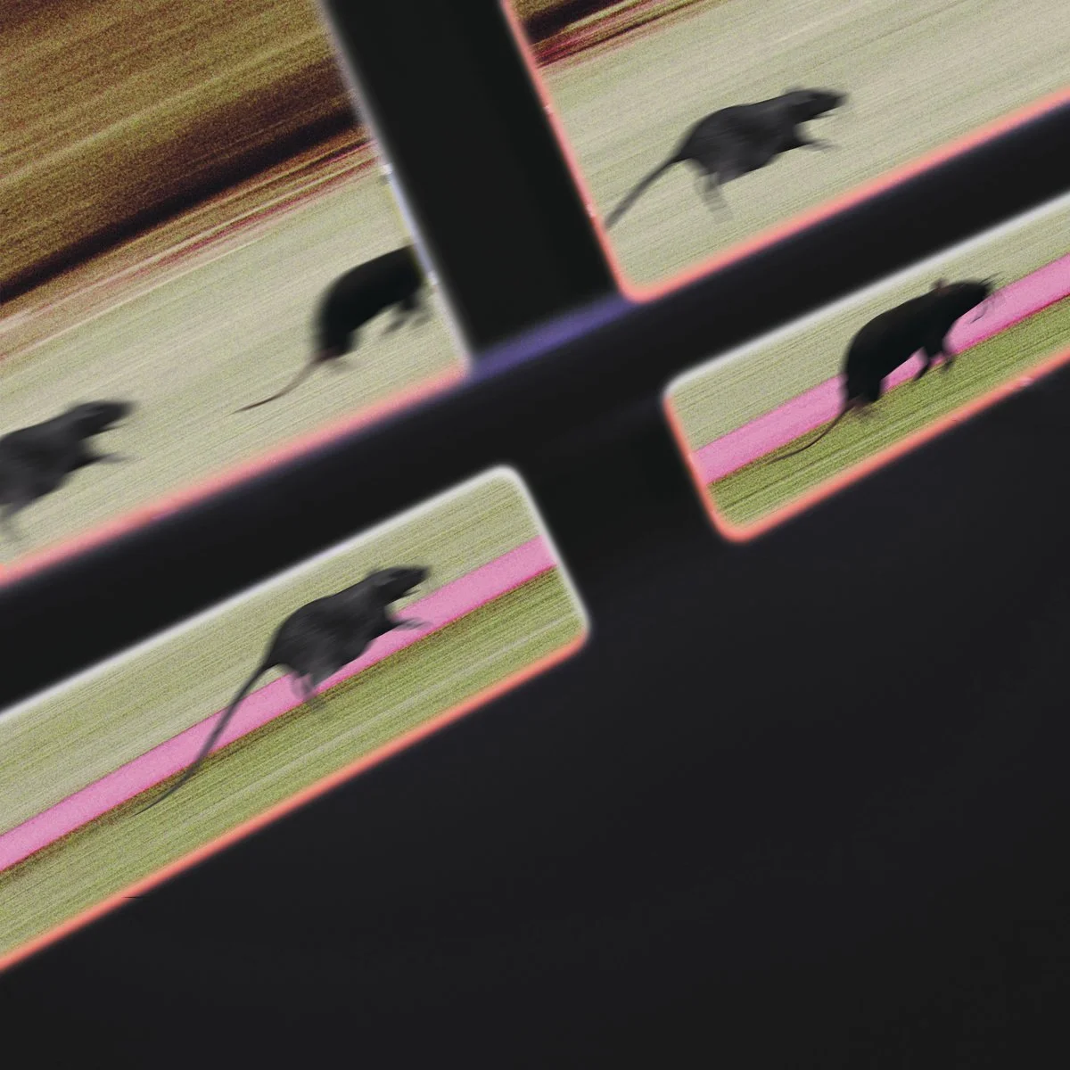 Rat Race - DJ JM