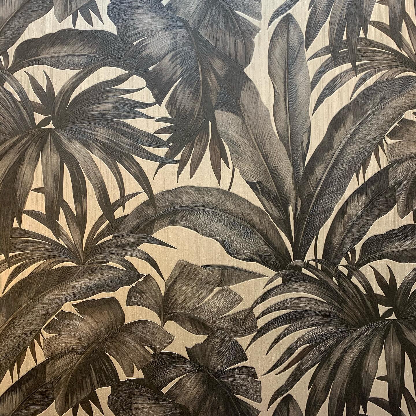 🤔 @carlospachecosalon 🎨