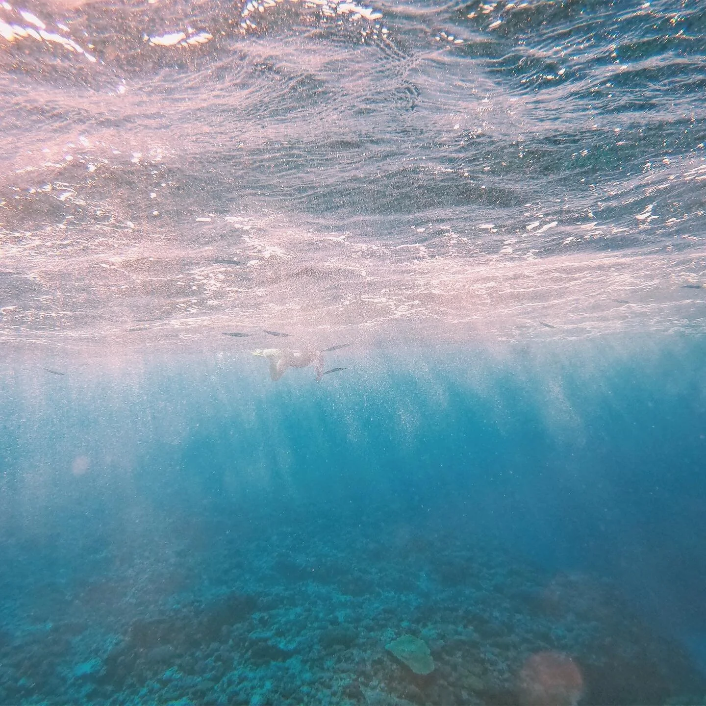 Happy World Oceans Day to the wonderful blue world of ours!! #worldoceansday