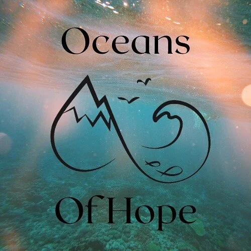 Six months ago I had the crazy idea to start a podcast that talked about sustainability and environmentalism like a simple lifestyle that anyone can create! Enter @oceansofhopepod I have truly loved every moment of working on this podcast and getting