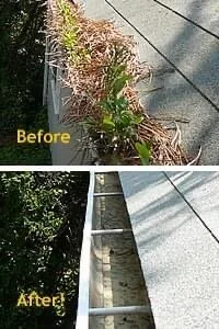 gutter.JPG